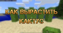 Ферма кактусов в Майнкрафт
