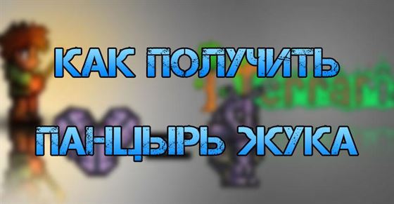 Панцырь жука в Terraria