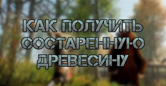 Где Найти Новогодние