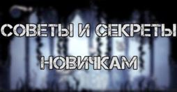 Советы и хитрости в Hollow Knight для новичков