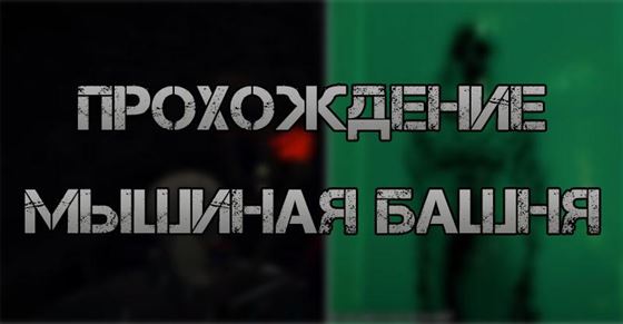 Прохождение квеста «Мышиная башня» в Ведьмак 3