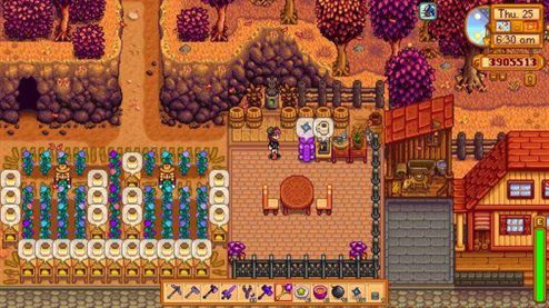 Stardew Valley: Иридиевая руда - где найти и для чего используется