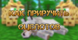 Minecraft 1.18: Оцелот - как приручить, что едят и зачем нужны