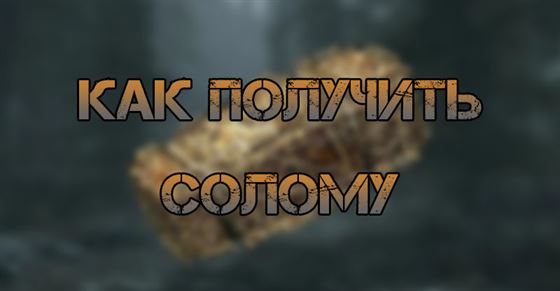 Солома в Skyrim