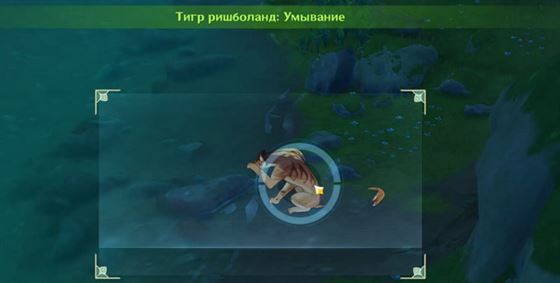 Поведение животных в Genshin Impact: как пройти испытание