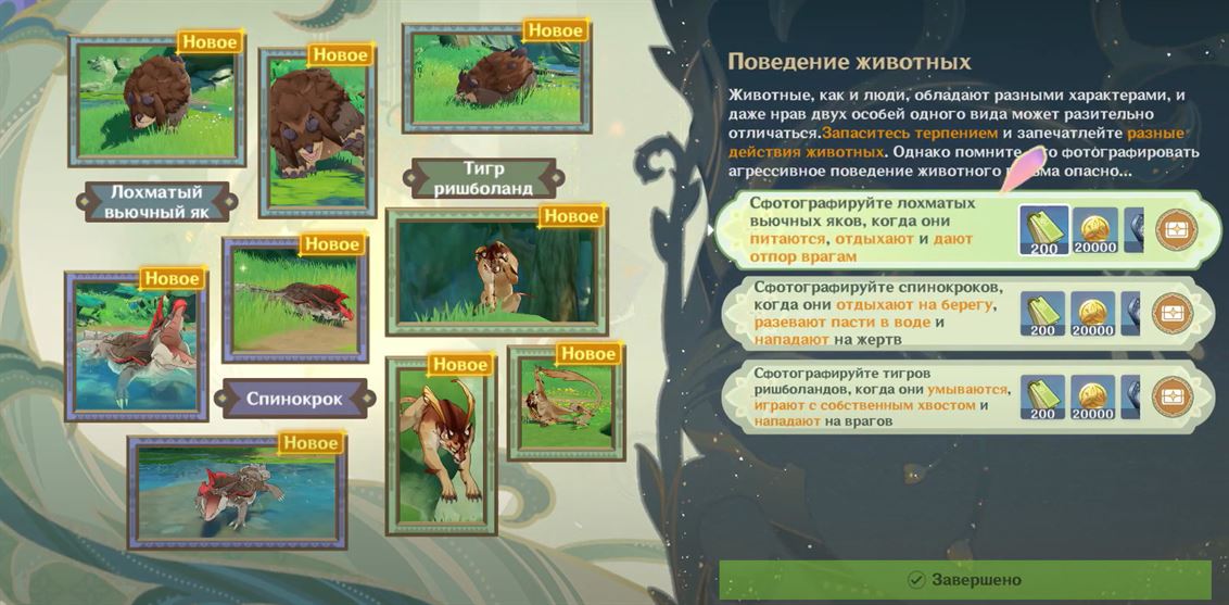 Поведение животных в Genshin Impact: как пройти испытание