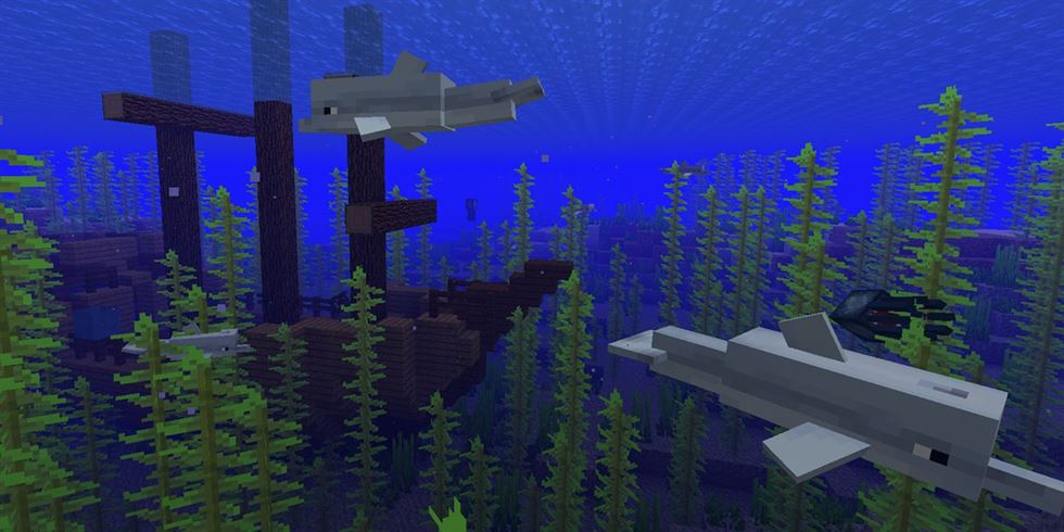 minecraft подводный дельфин кораблекрушение