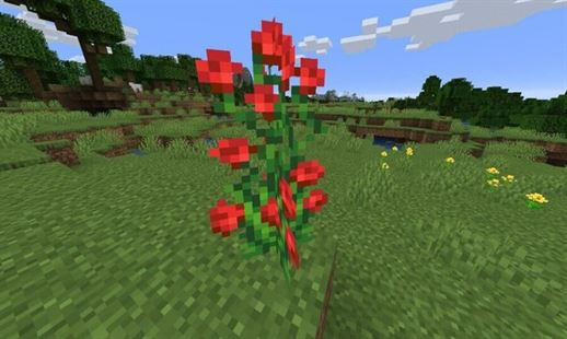 Minecraft Где найти все цветы в Minecraft R