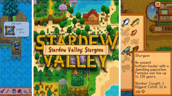 Stardew Valley: Осётр - где поймать, как ловить и для чего используется