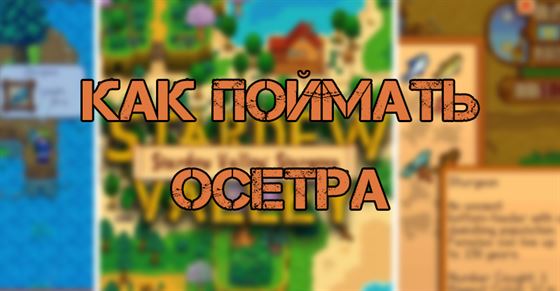 Осетр в Stardew Valley