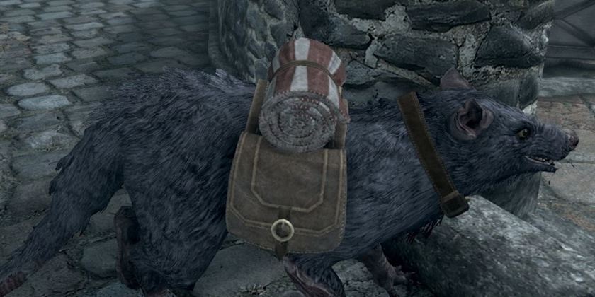 Pets of Skyrim Anniversary Edition Scritch Rat