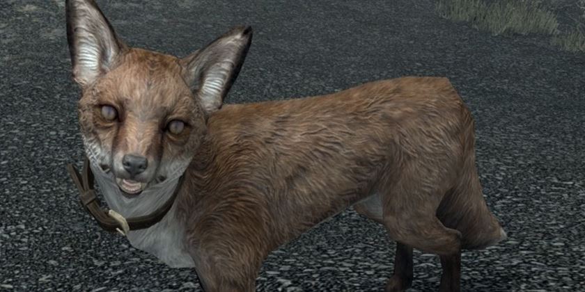 Pets of Skyrim Anniversary Edition Sweet Roll Fox