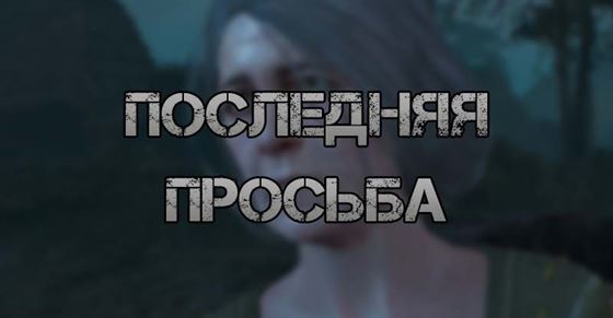 Последняя просьба в The Witcher 3