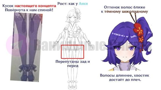 Персонаж в Genshin Impact 3.8: внешний вид, элемент, редкость, регион, сливы