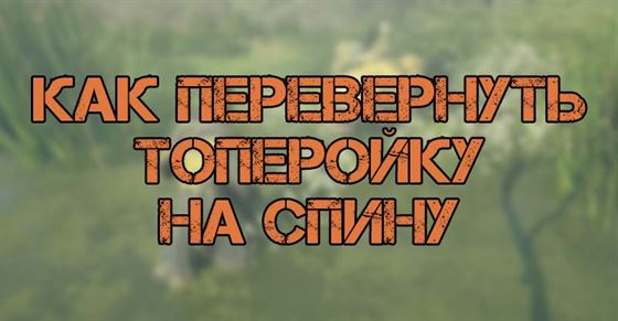 Как перевернуть топеройку в Hogwarts Legacy