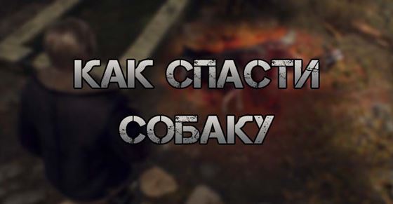 Как спасти собаку в Resident Evil 4 Remake