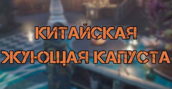 Китайская жующая капуста в Hogwarts Legacy