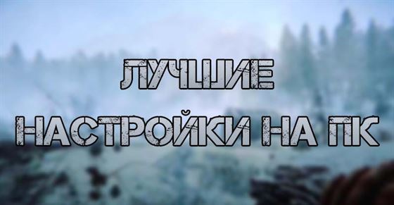 Лучшие настройки на ПК в Sons of the Forest