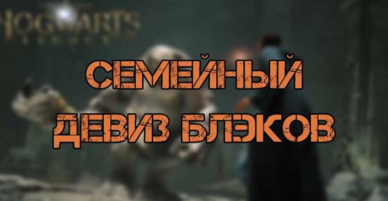 Семейный девиз Блэков в Hogwarts Legacy