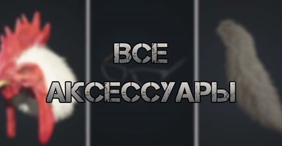 Все аксессуары в Resident Evil 4 Remake