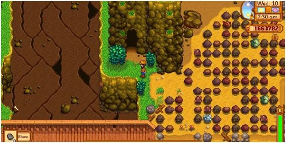 Золотая коса в Stardew Valley: где найти и что она делает