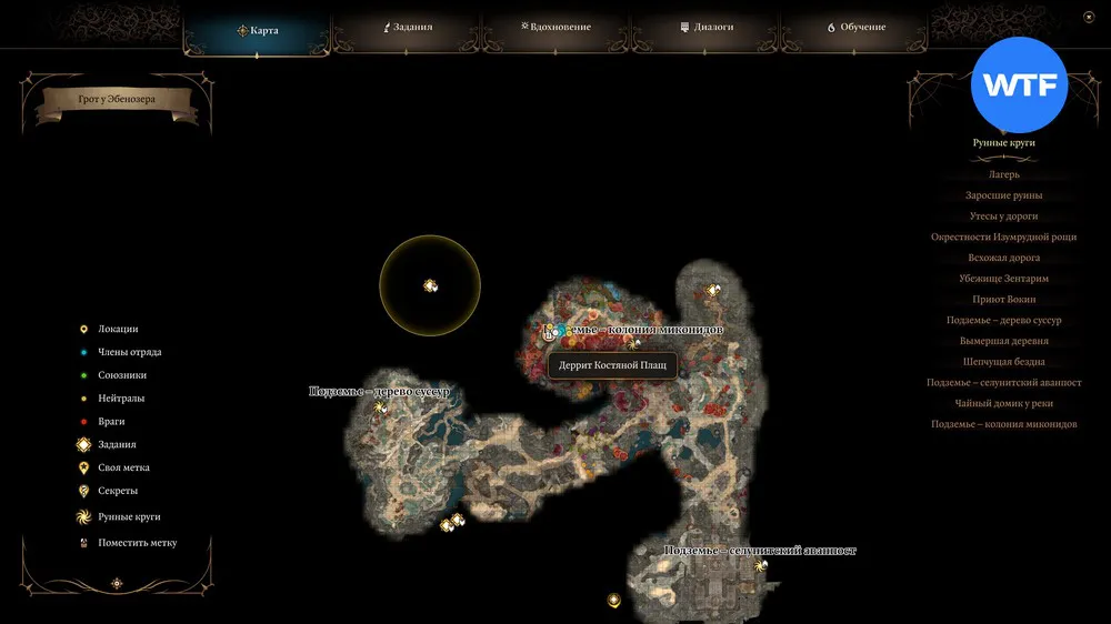 Кому отдать доброгриб в Baldur's Gate 3 и как найти грибника