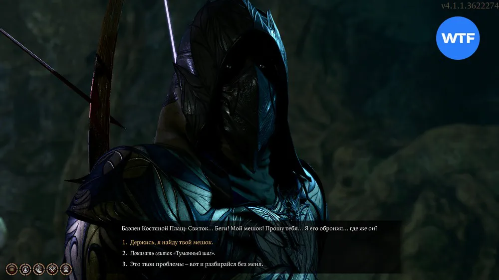 Кому отдать доброгриб в Baldur's Gate 3 и как найти грибника