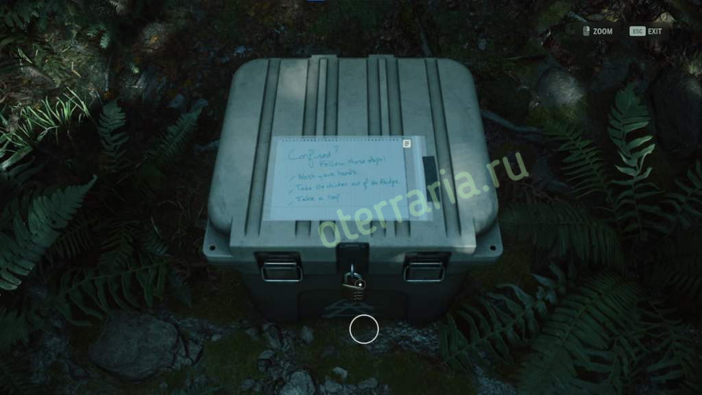 Гайд по открытию культового тайника в игре Alan Wake 2