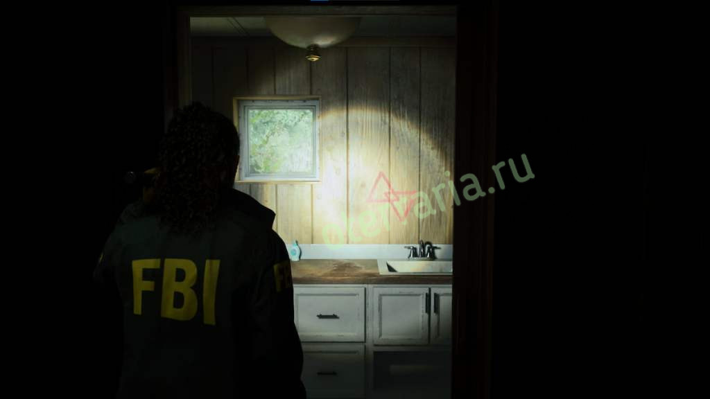 Гайд по открытию культового тайника в игре Alan Wake 2